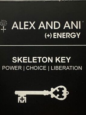 ALEX AND ANI BRACELET